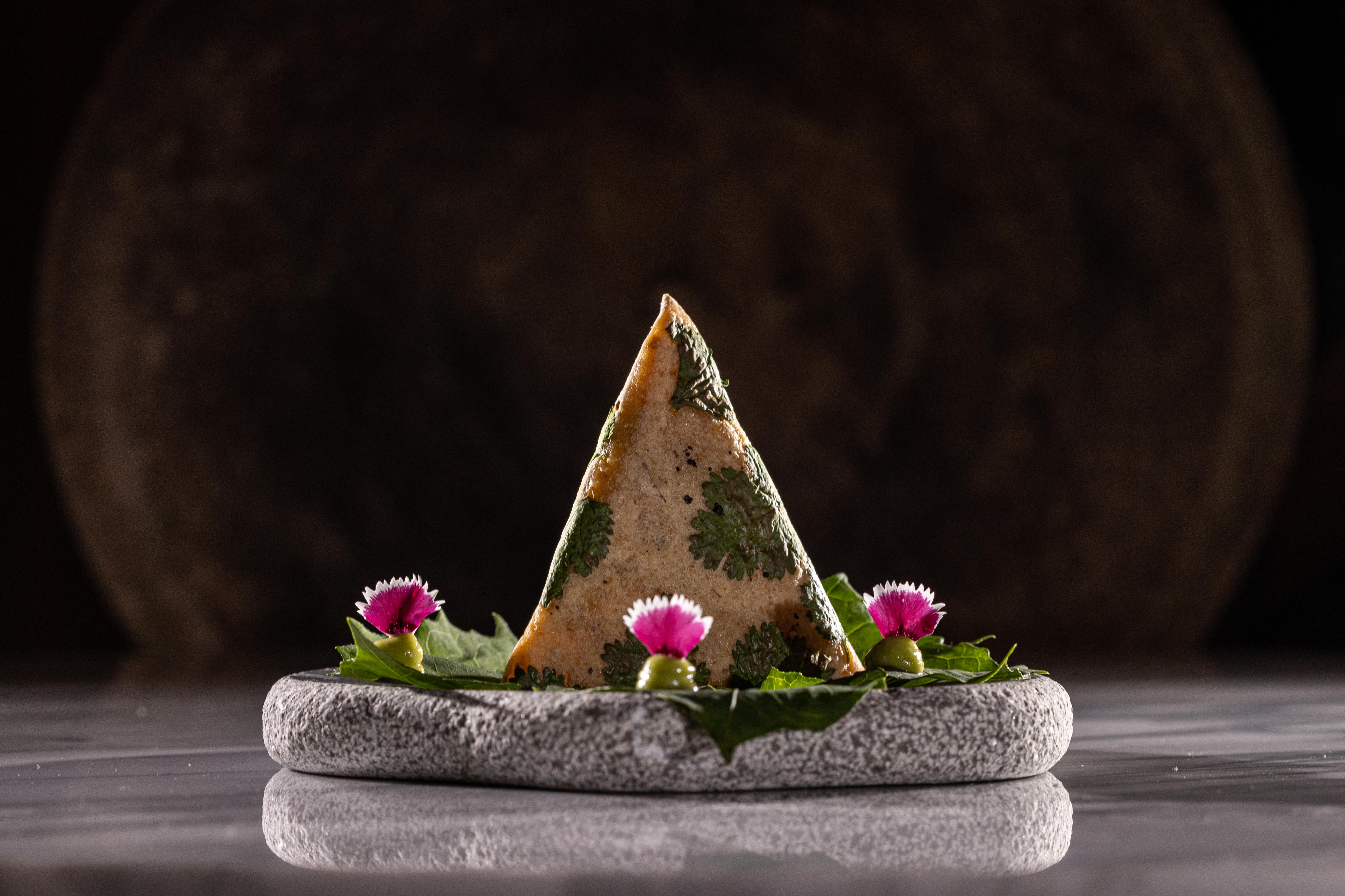 Palmaia The House Of Aia Wellness Los Dos Compadres